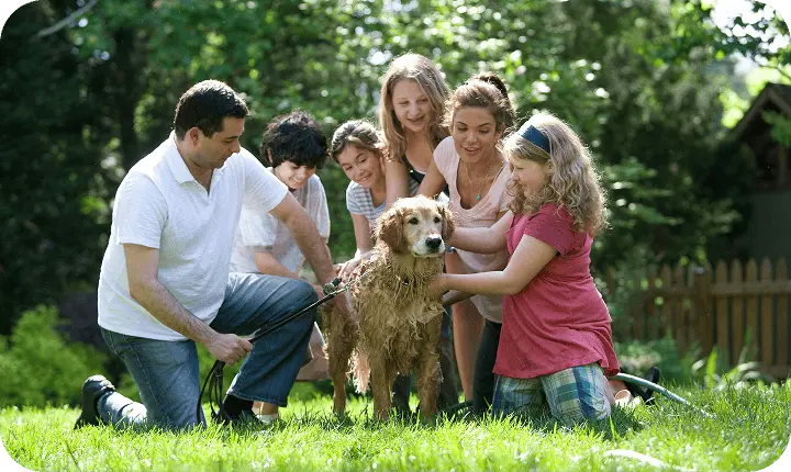 adobted dog with it's family