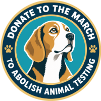 donate to the march infographic link